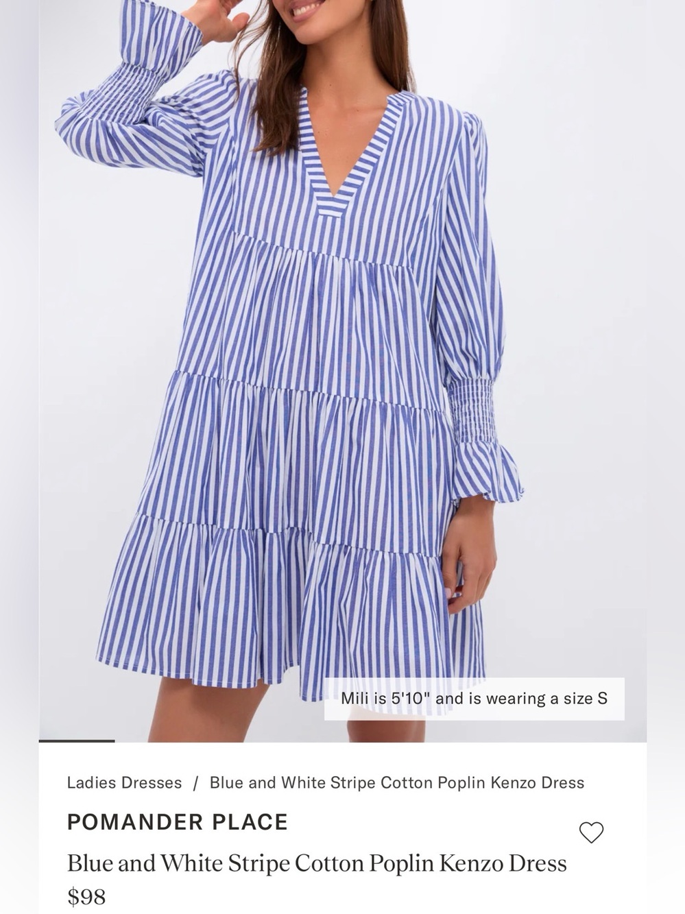 Pomander Place Blue and White Stripe Poplin Kenzo Dress - Large